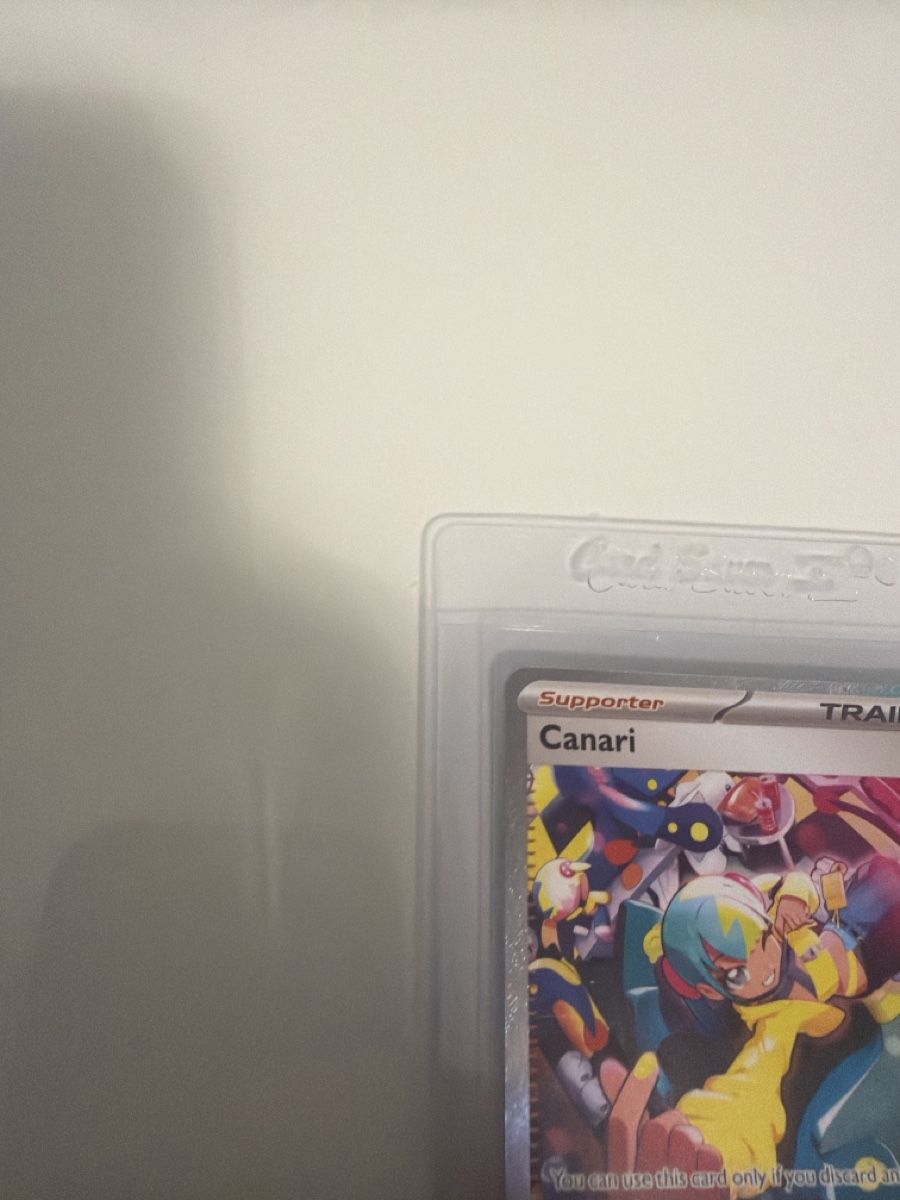 Cartes: Canari 291/217 – Neuf (Voir description) à Bäch SZ par tuy_tv9y 5