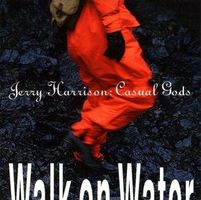 Jerry Harrison     Casual Gods  1990
