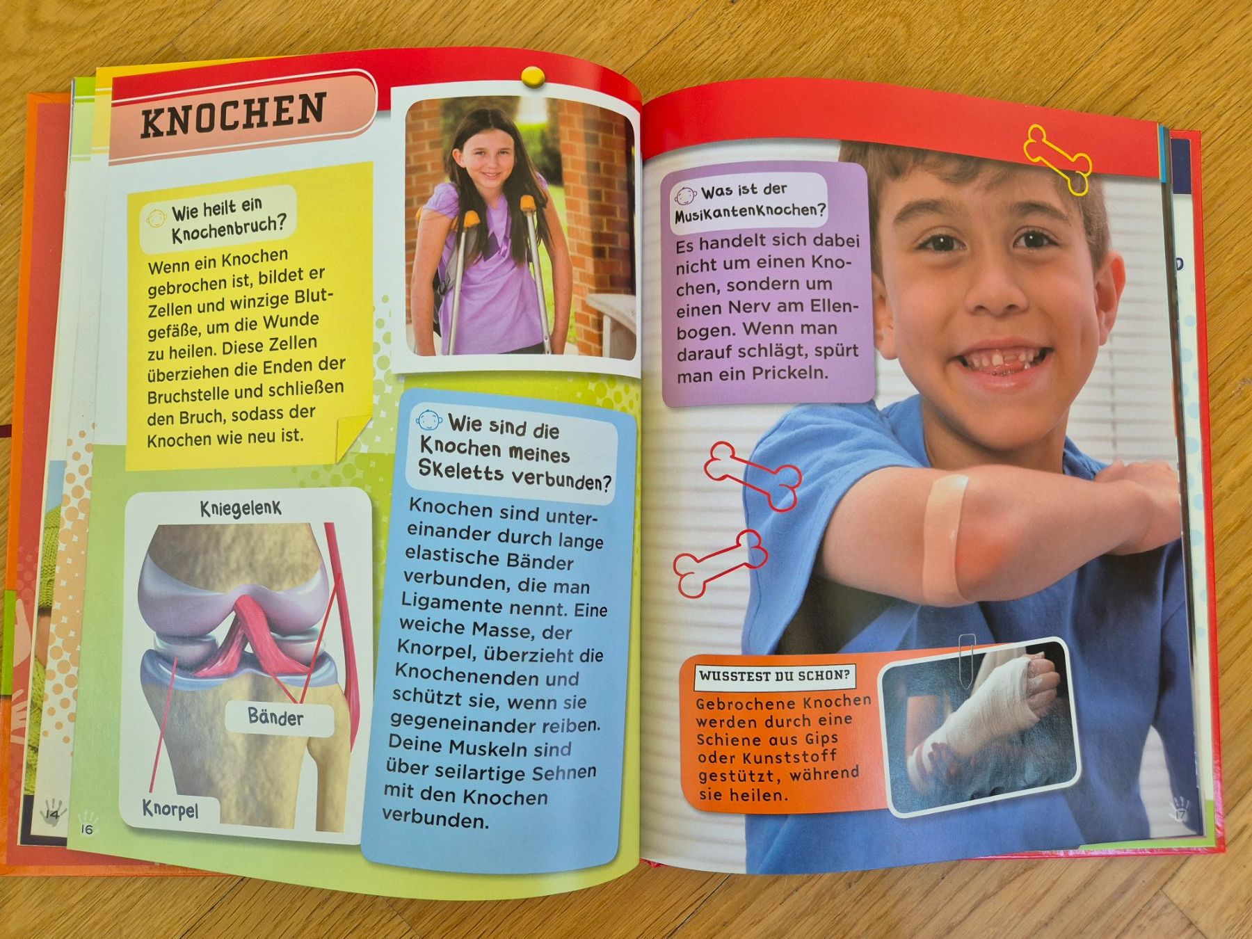 Libri: Kinderbuch: Warum brauchen wir Knochen? – Usato da Adliswil venduto da Al05 1