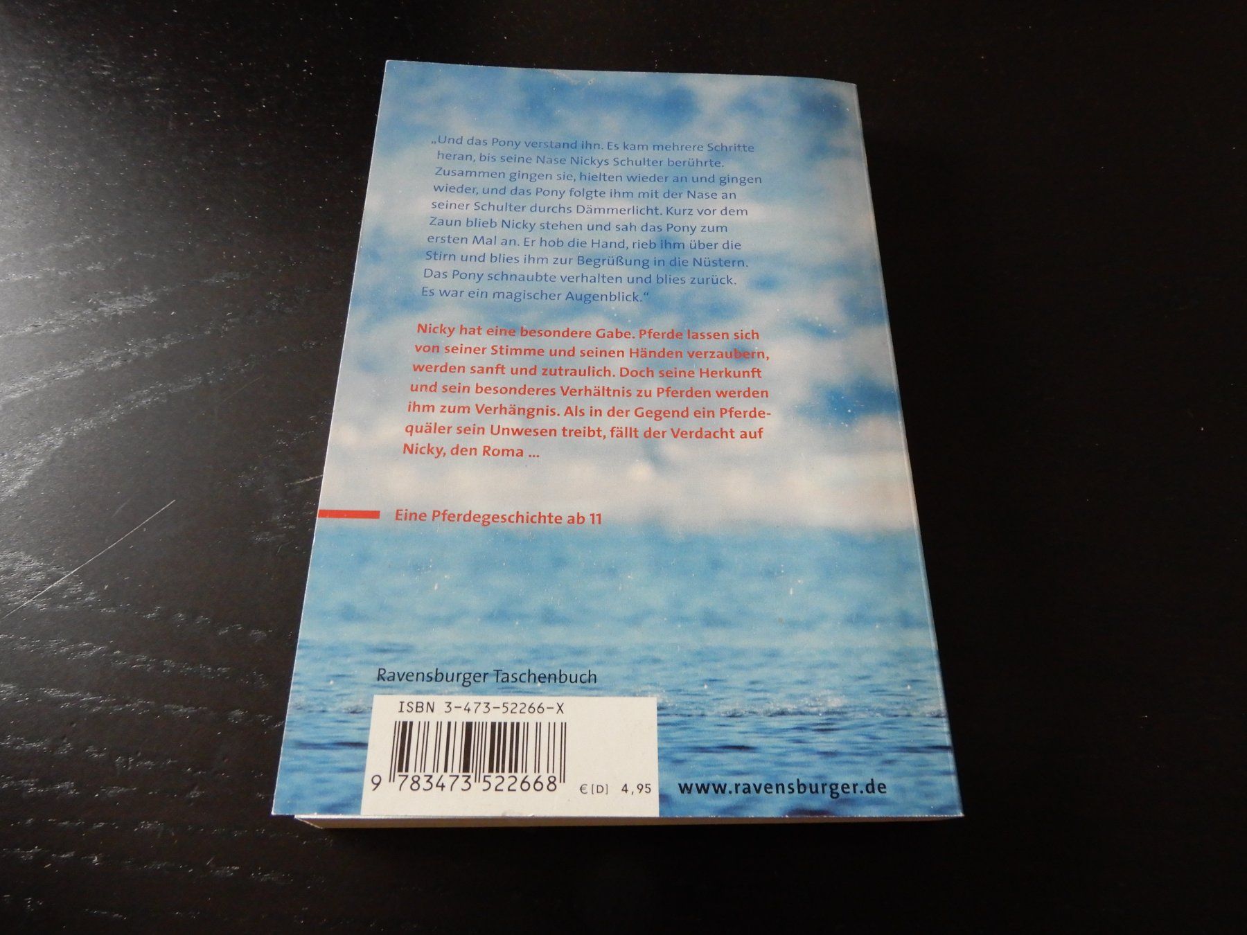 Libri: Judy Waite: Der Pferdeflüsterer Midnight – Usato da Erstfeld venduto da Mario_boe0 4