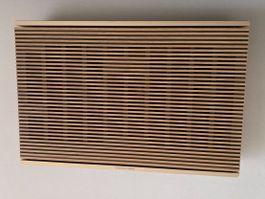 Bang & Olufsen Beosound Level
