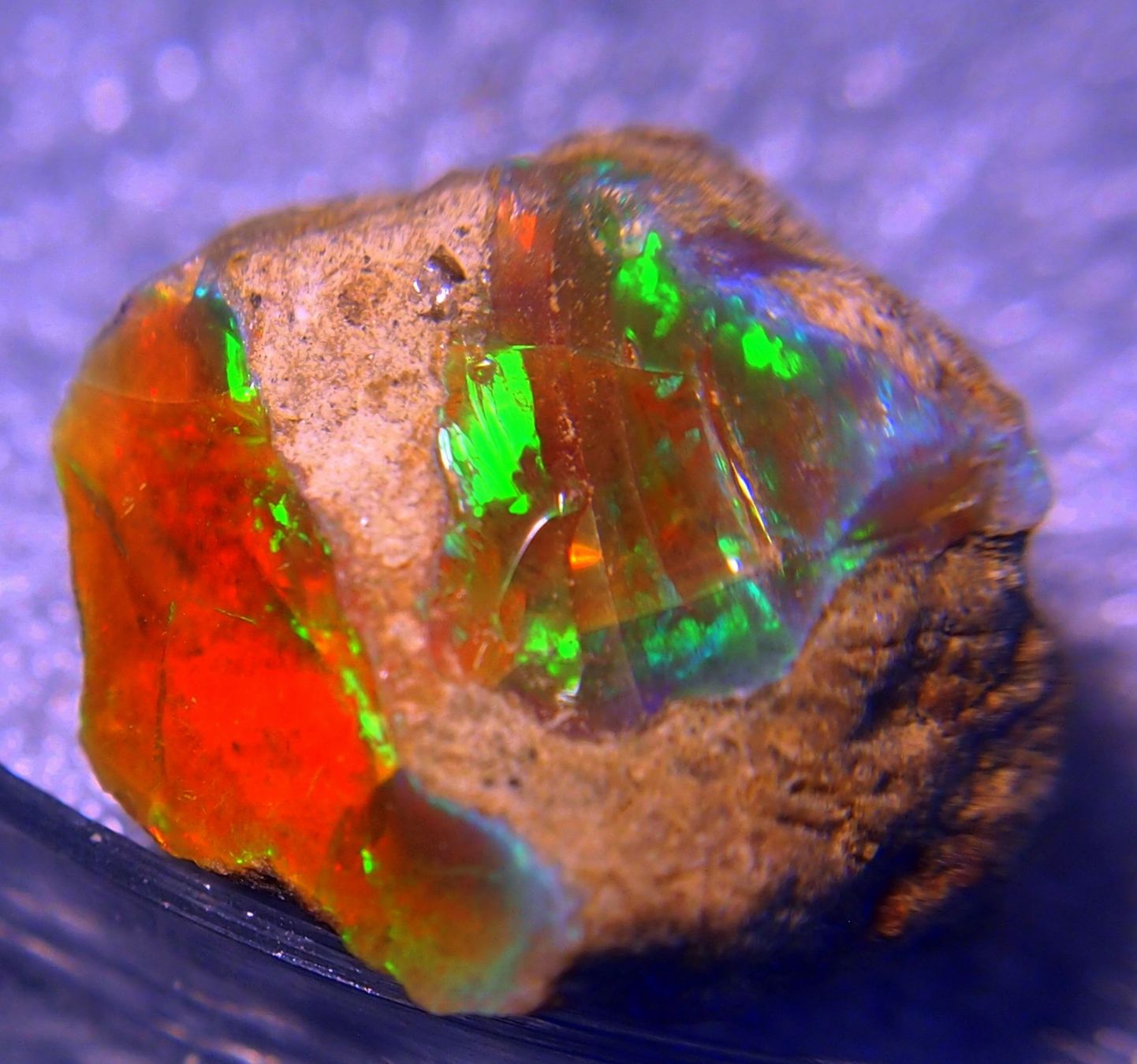 Pietre preziose: 28,5 ct. TOP funkelnder FEUEROPAL! – Nuovo e nell'imballaggio originale da Reinach BL venduto da Marcopal 9