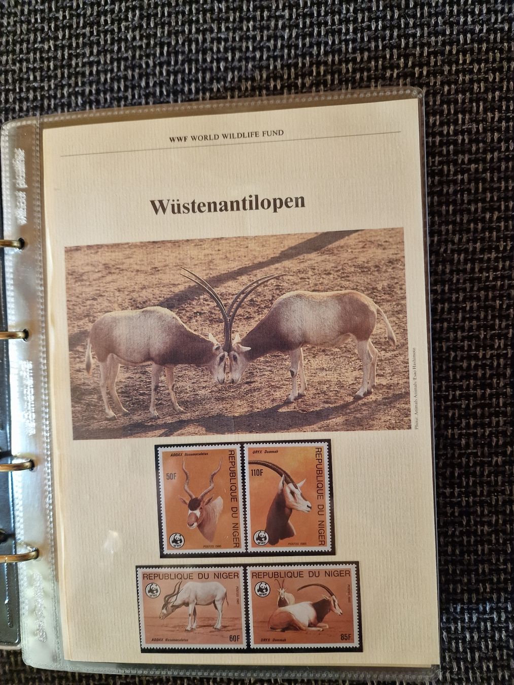 Alle Briefmarken: WWF-Briefmarken Sammel Album – Gebraucht aus Gossau SG von ush_db7j 5