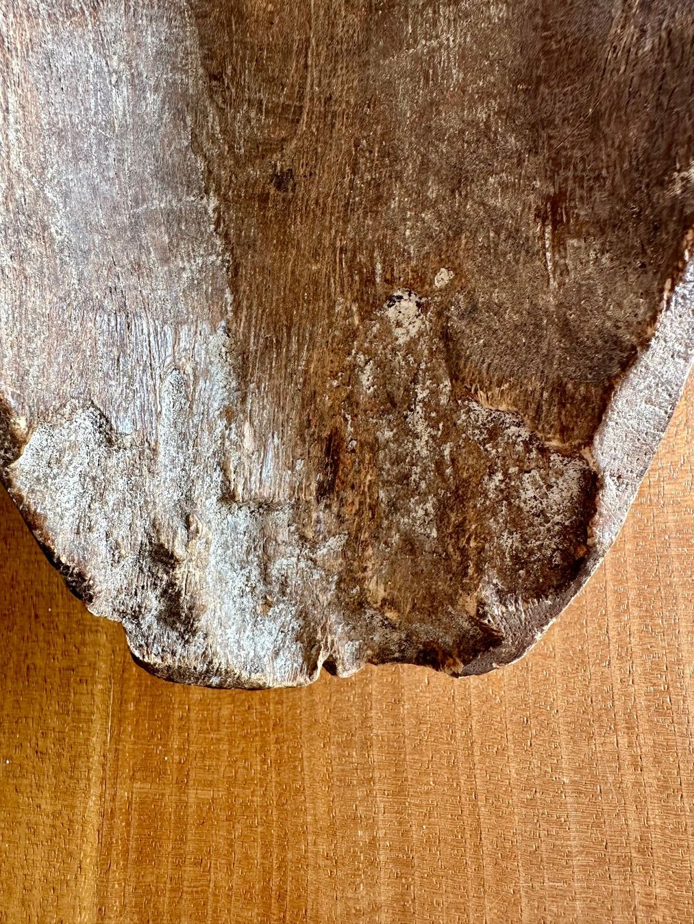 Internationale Kunst: Afrikanische Holzmaske – Gabun / Fang-Stil – Ngontang-Typ – – Gebraucht aus Zürich von hanvil100 4