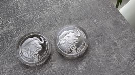 Big Five 2023 Buffalo Proof Silver 1 oz South Africa