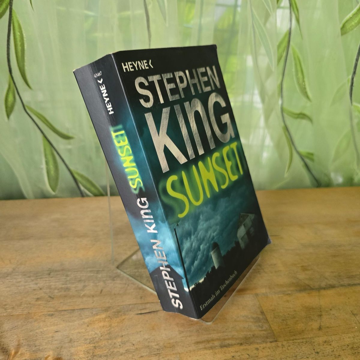 Libri: Sunset von Stephen King – Usato da Merlischachen venduto da Sheavy 3