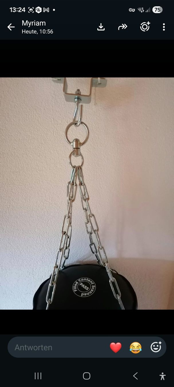 Powerzone Boxsäcke: Boxsack mit Aufhängung – Gebraucht aus Charmey (Gruyère) von Balinea 1