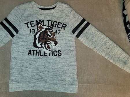 H&M Pullover, Tiger-Motiv, kidz tiger, team tiger, tigre