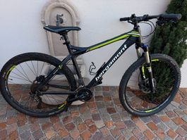 Bergamont Hardtail Mountainbike