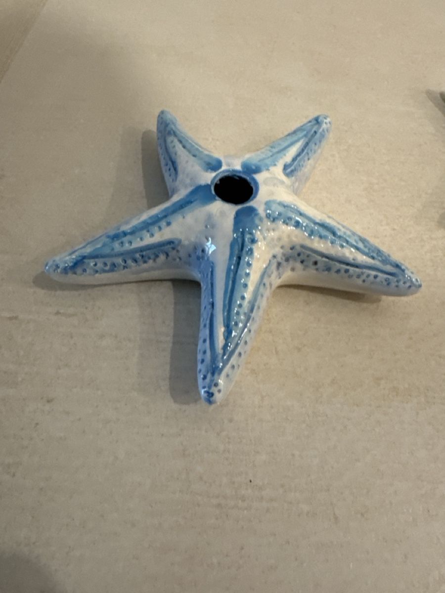 Tutte le decorazioni: starfish ceramic decoration for summer decor – Nuovo (secondo la descrizione) da Corsier GE venduto da Arca_ReLife 1