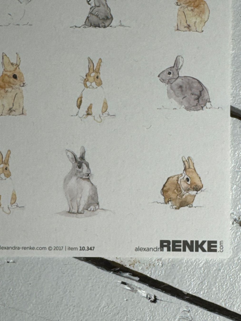 Papiere: Renke / DP Hasen / P1 – Neu (gemäss Beschreibung) aus Neukirch (Egnach) von muolen 1