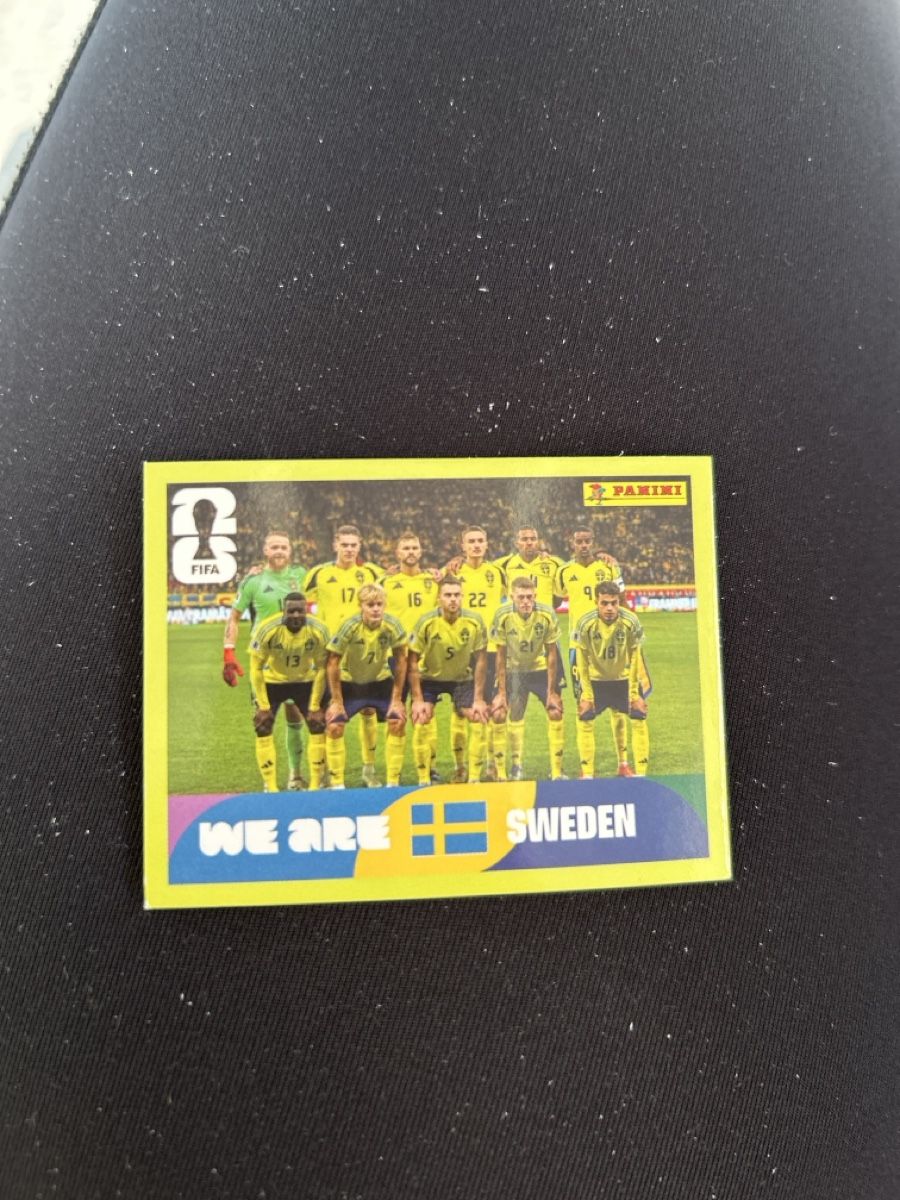 Panini Carte collezionabili: Panini SWE 13 – Nuovo (secondo la descrizione) da Lostorf venduto da Venice16