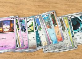 Pokemon Karten Sammlung | PBL (Pitch Black) Holo Lot 