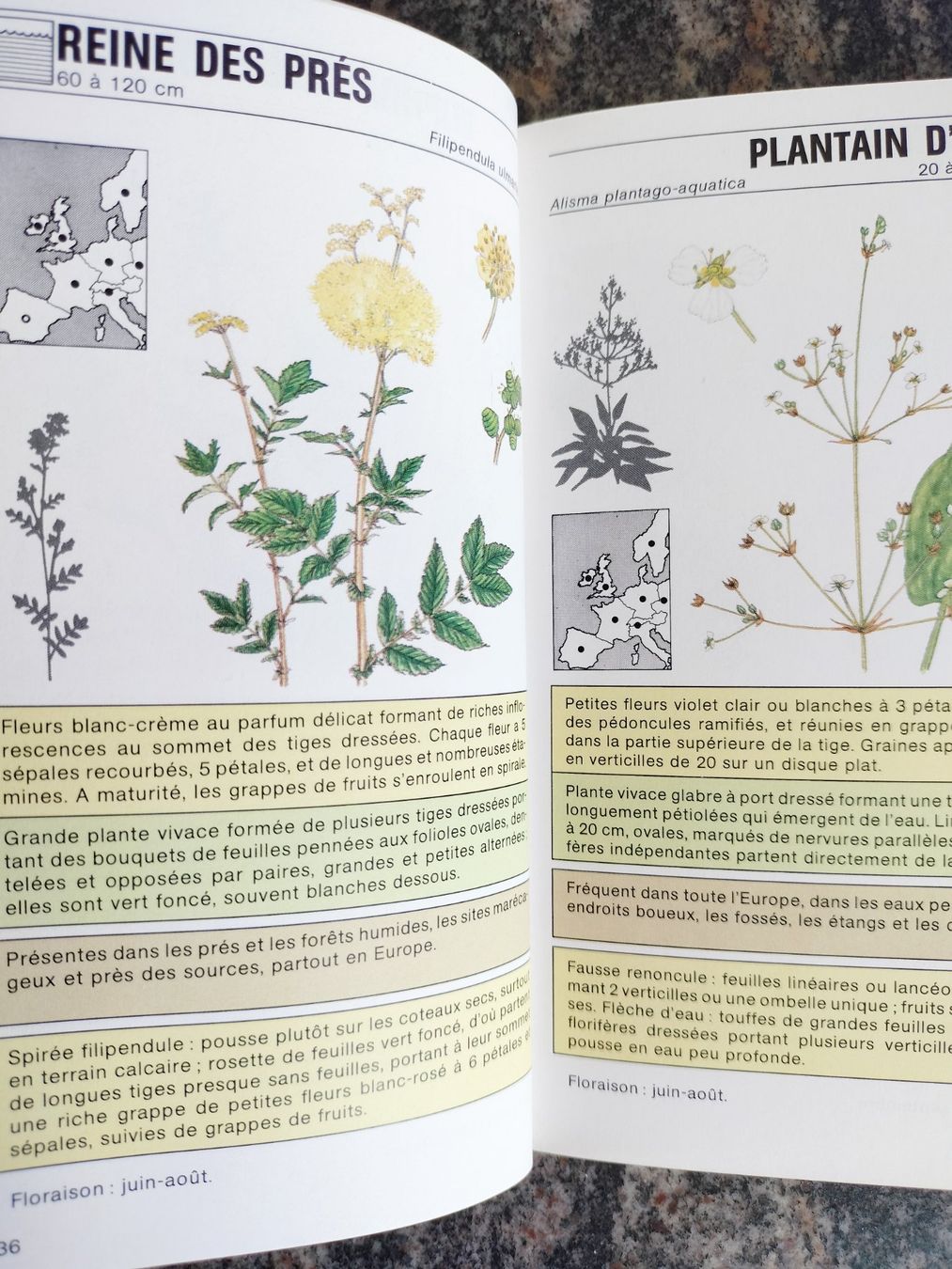 Bücher: Fleurs sauvages Gründ Nature - Poche – Gebraucht aus Cortaillod von rozinna 3