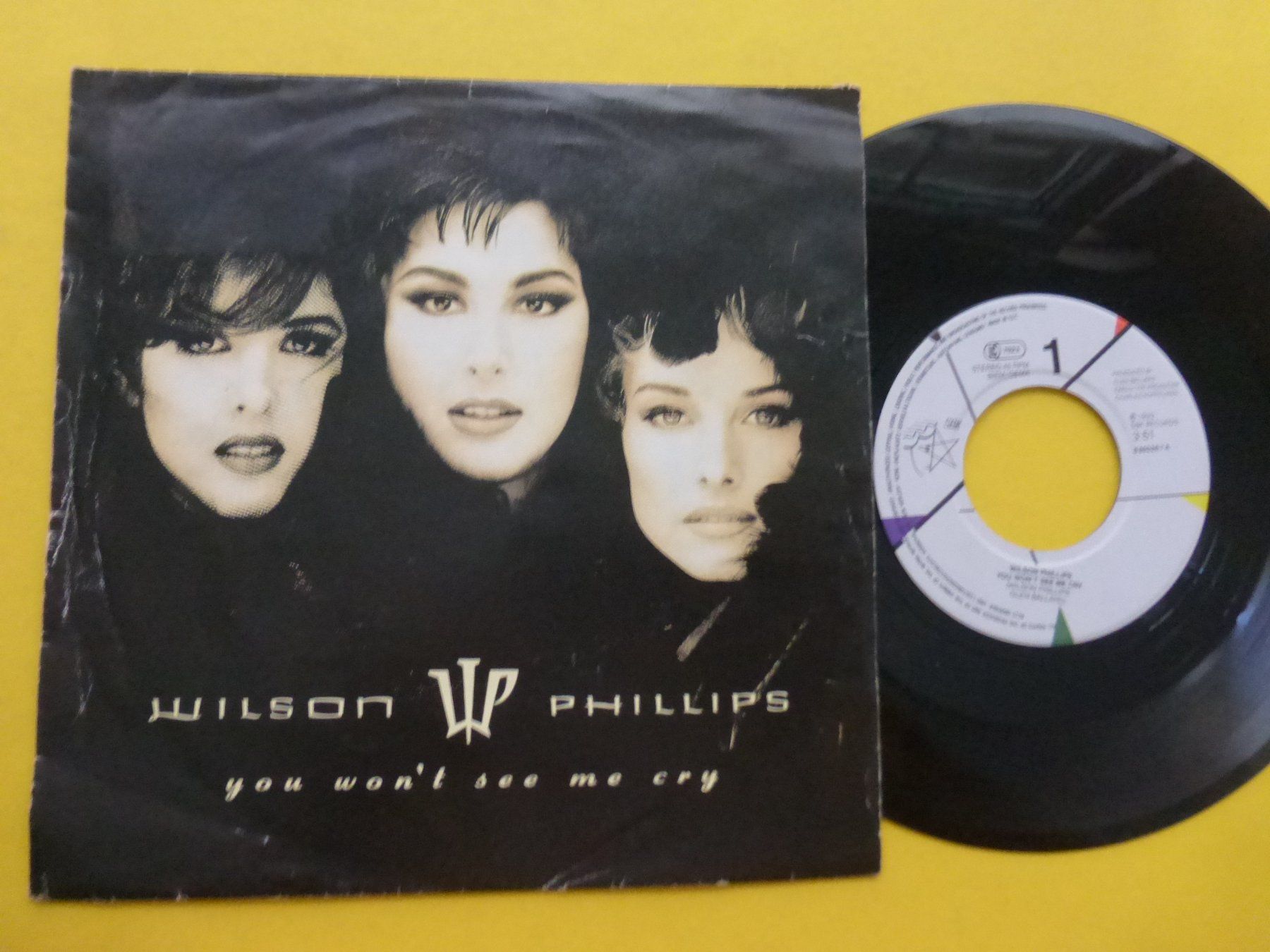 Dischi in vinile: Wilson Phillips – You Won't See Me Cry – Usato da Zürich venduto da Swiss57