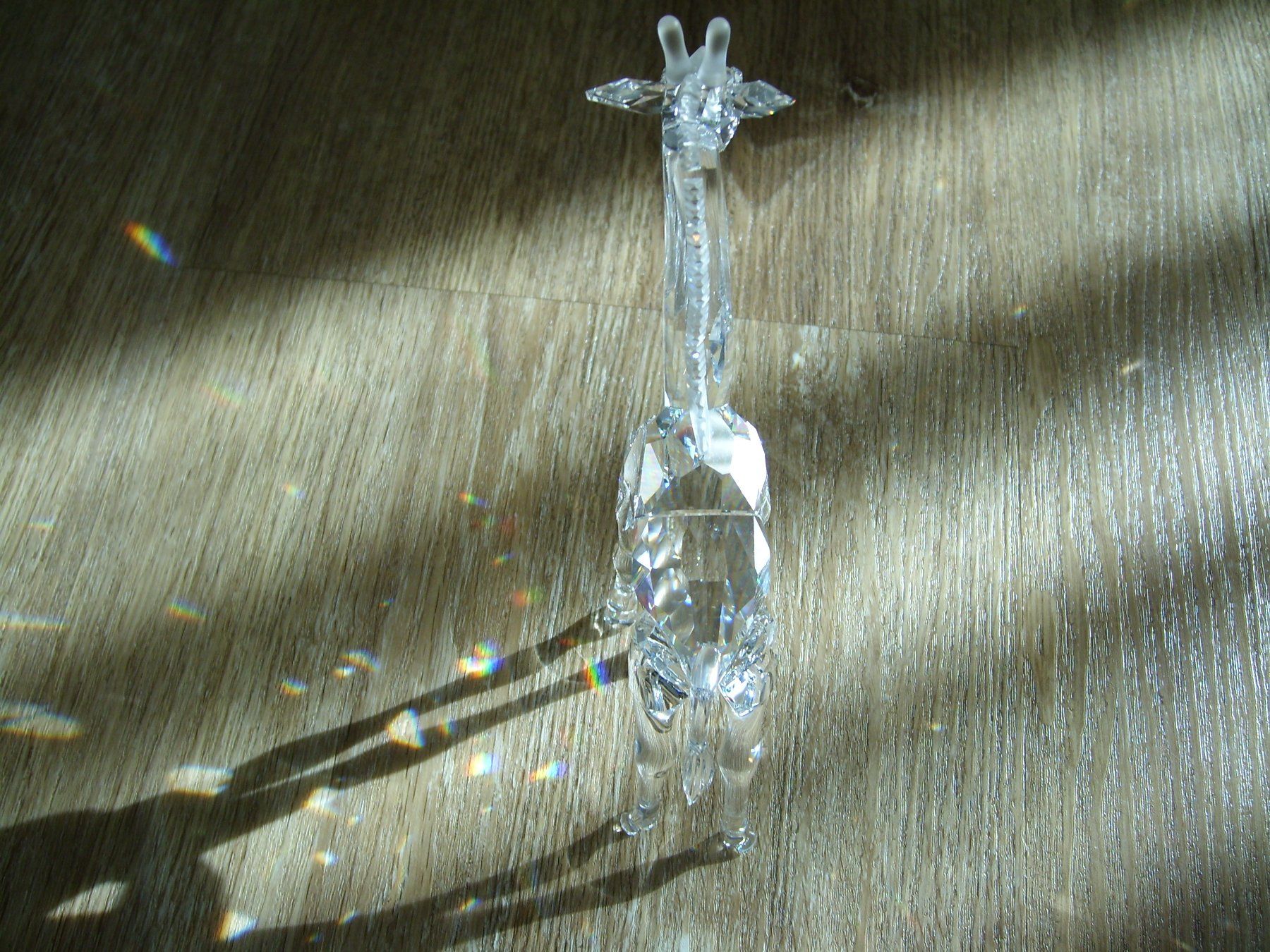 Swarovski Statuette: Swarovski Giraffe – Nuovo (secondo la descrizione) da Thierachern venduto da Shila99 2