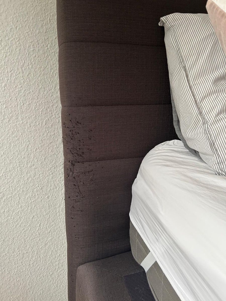 Lits: Boxspringbett – D'occasion à Bülach par Kar_by7b 3