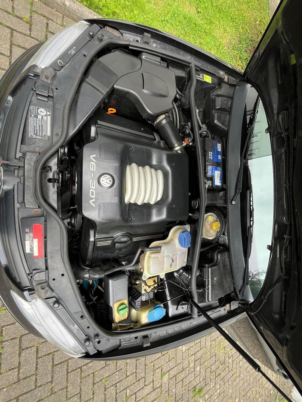 VW Automobili: Autoverkauf Passat V6, Benziner, MFK – Usato da Birsfelden venduto da gcl_wgn8 5