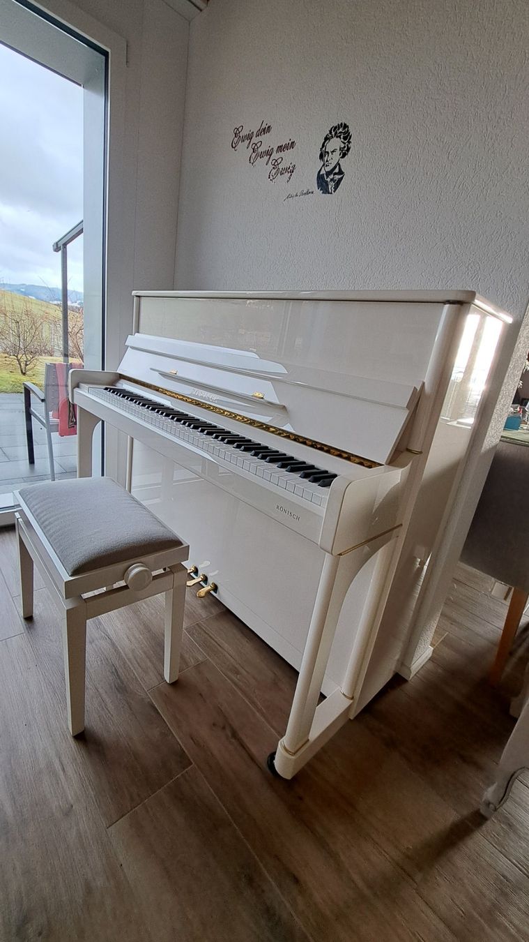 Strumenti musicali: Klavier – Usato da Ebertswil venduto da findwat 3