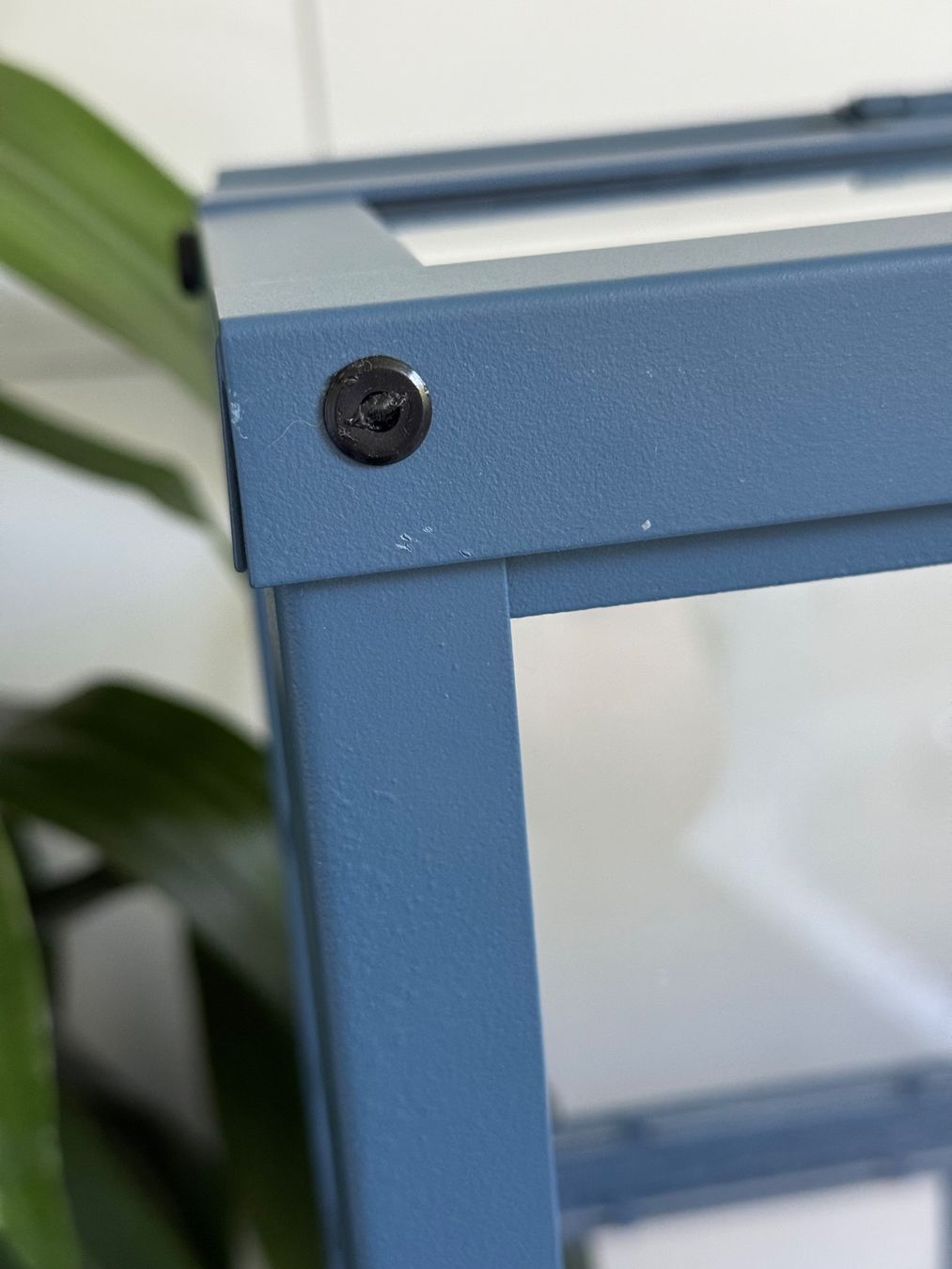 Ikea Cabanes de jardin & serres: Ikea Åkerbär mini Gewächshaus gebraucht – D'occasion à Goldau par pflanzly 5