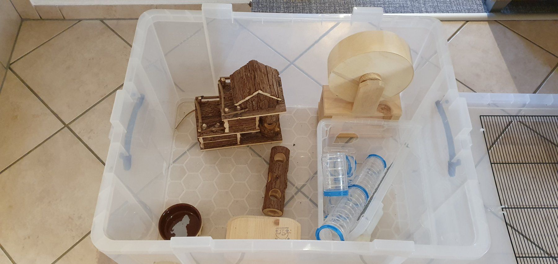Gabbie, trasporto & Sicurezza: Cage rongeur fait maison + accessoires – Usato da Moutier venduto da Matteoleroux 6