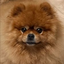Profile image of and_67qm