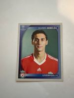 Panini UEFA Champions League 2008-2009 - Nr. 334