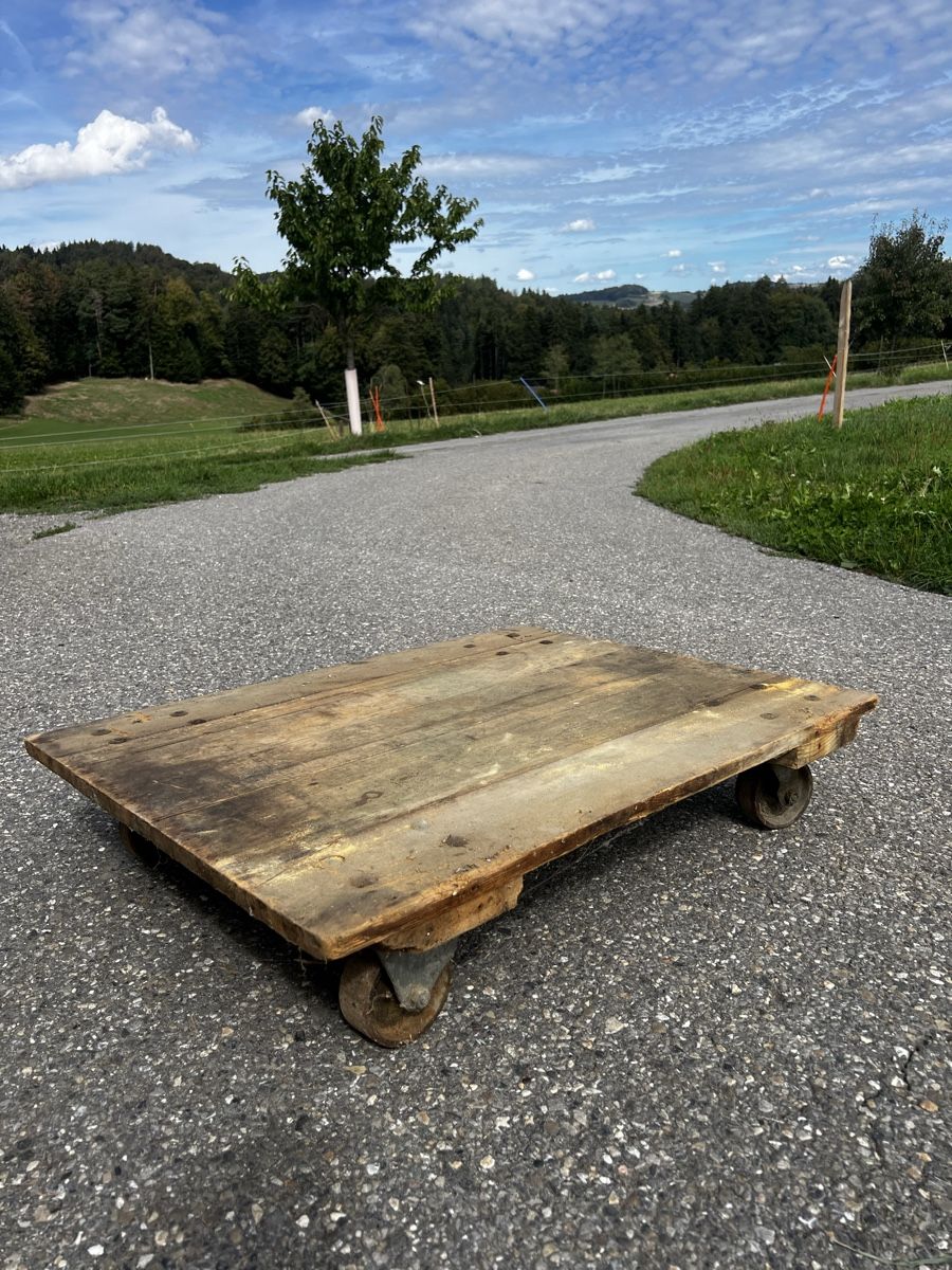 Carriole: Holz-Transportwagen mit Rollen – Usato da Ueberstorf venduto da lorena...