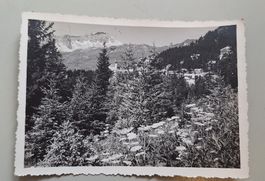 AK CP Arosa Wald Tannen Kirche Natur GR