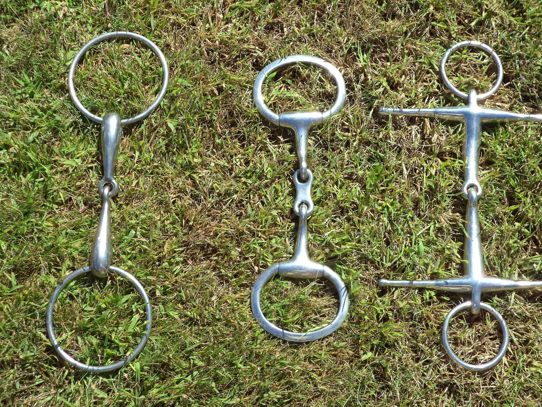 Selle & Accessori: SELLE à usage général 43 cm avec lot d'équipement – Usato da Champéry venduto da ced_vlj6 2