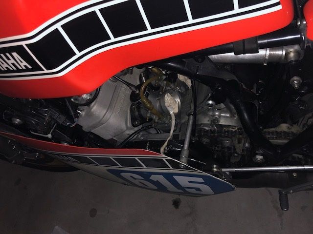 Altro: Vendo Yamaha TZ 350 – Usato da Arcegno venduto da Pulce99 2