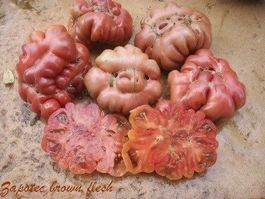 TOMATE ZAPOTEC BROWN FLESH RARE ! 5g