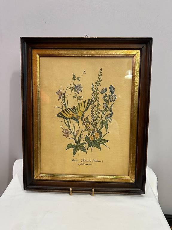 Grafica & Litografie: Antike Lithographie "Podalirio" im Holzrahmen mit Goldleiste – Usato da Obernau venduto da Arche_Noah_Brocki