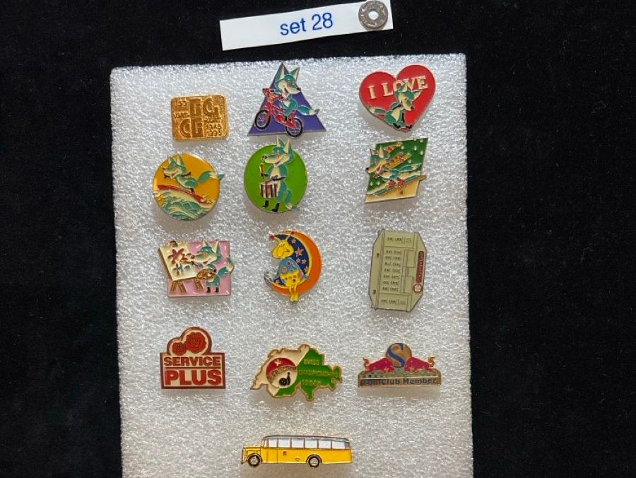 Placchette & Badge: Diverse pins Vintage – Usato da Matzingen venduto da Old-Shop