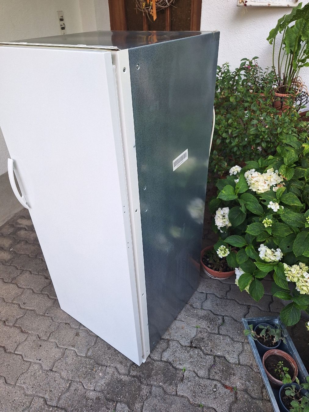 Electrolux Frigoriferi: Kühlschrank Electrolux – Usato da Uetendorf venduto da Albi125 3
