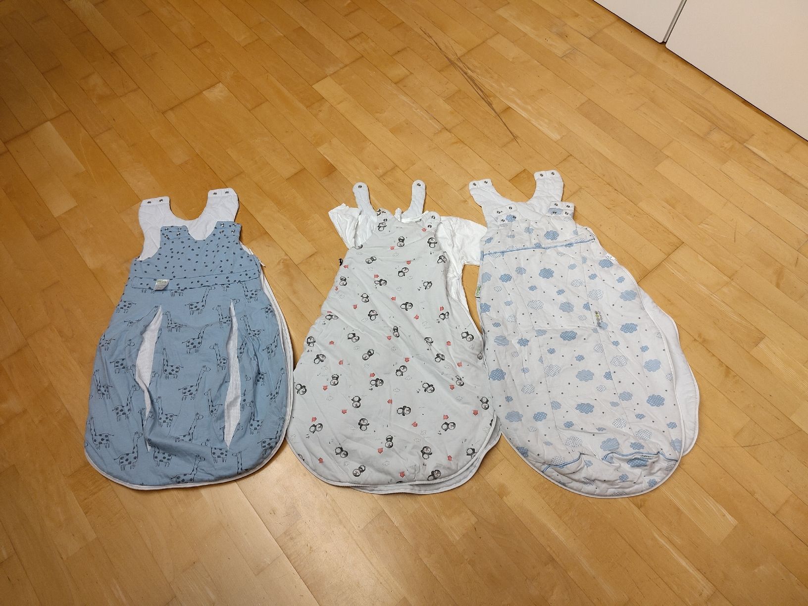 Sacchi a pelo: Baby-Schlafsäcke – Usato da Giswil venduto da Dewey08