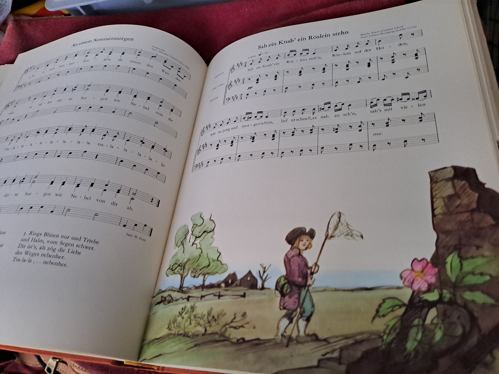 Livres: Das grosse Liederbuch, gebrauchtes Buch – D'occasion à Zürich par Schoebi19 6