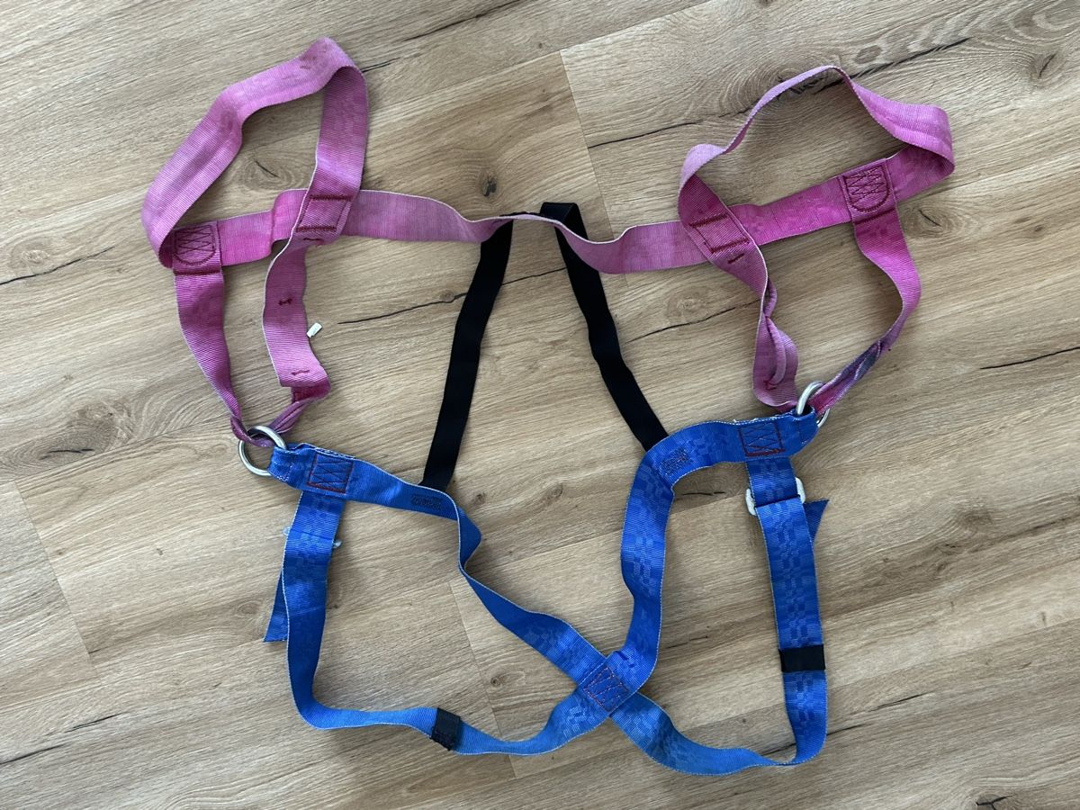 Mammut Attrezzatura da arrampicata: Klettergurt  pink blau Grösse ca. S, Gebraucht – Usato da Wolhusen venduto da eve_m6cg