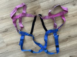 Klettergurt  pink blau Grösse ca. S, Gebraucht