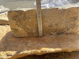 KALKSTEIN- KLEINMAUERSTEINE  10cm