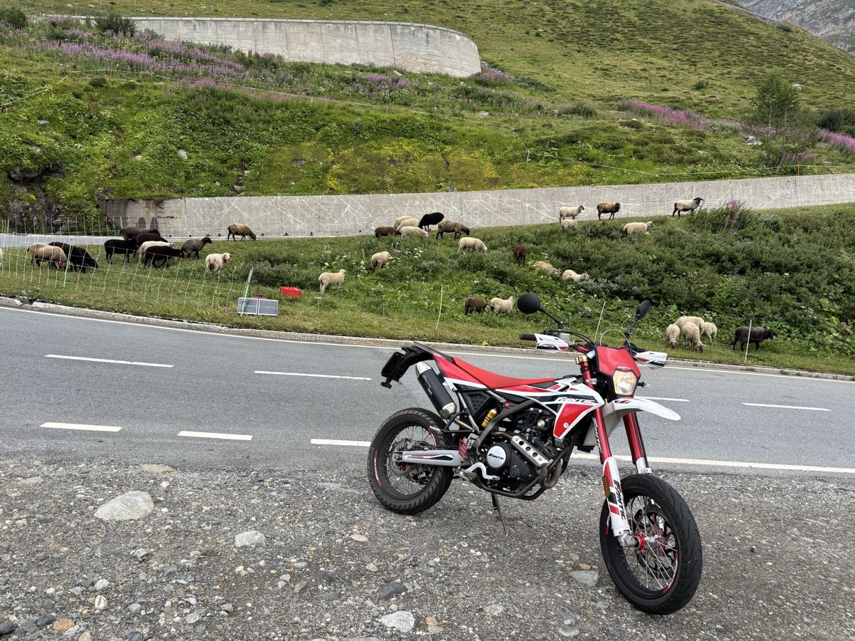 Fantic Route: Fantic zuverkaufen – D'occasion à Gunzwil par sil_g7xg 1