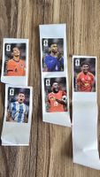 Coca Cola Panini Sticker WM 2026