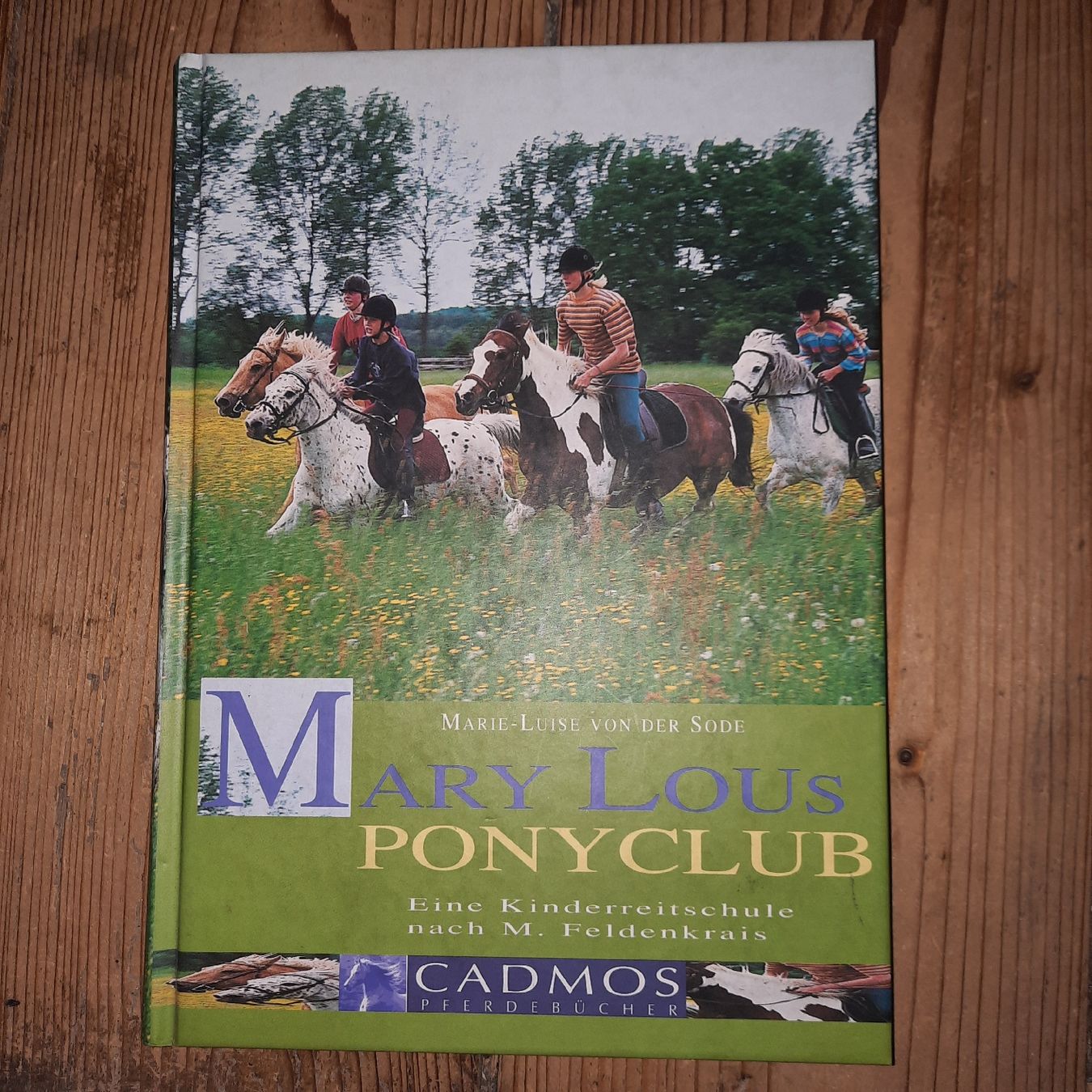 Bücher: Mary Lous Ponyclub – Neu (gemäss Beschreibung) aus Riedikon von cor_7jcd