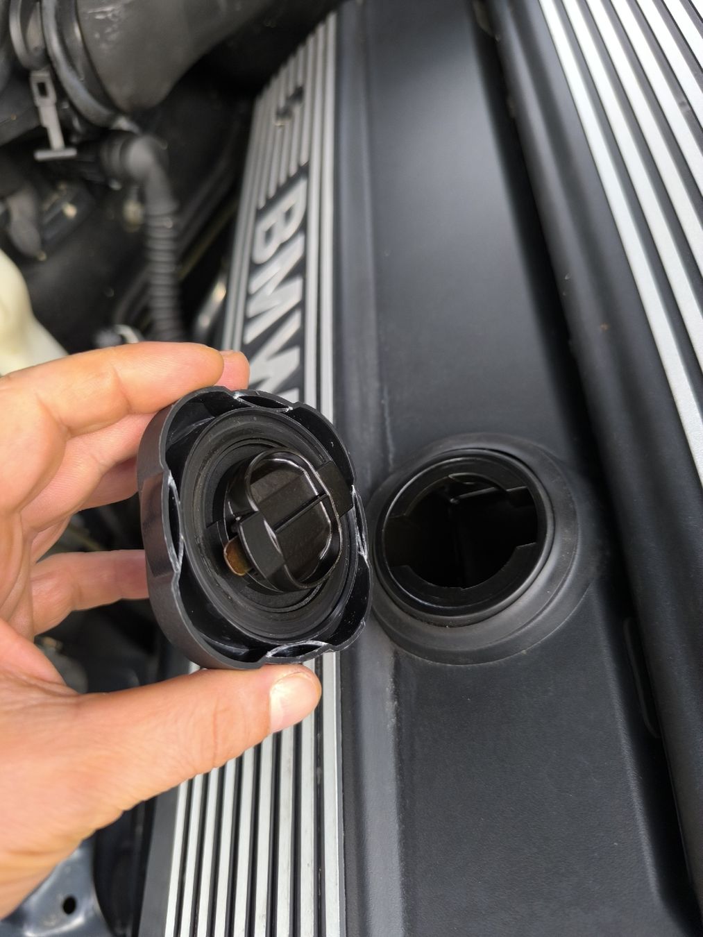 BMW Autos: BMW e39 528 Handschaltung  – Gebraucht aus St. Gallen von hau_5n2n 8