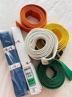 cinture karate