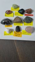 10er Set Trommelsteine mit Isua Gneis und Chrysopras: Set 16