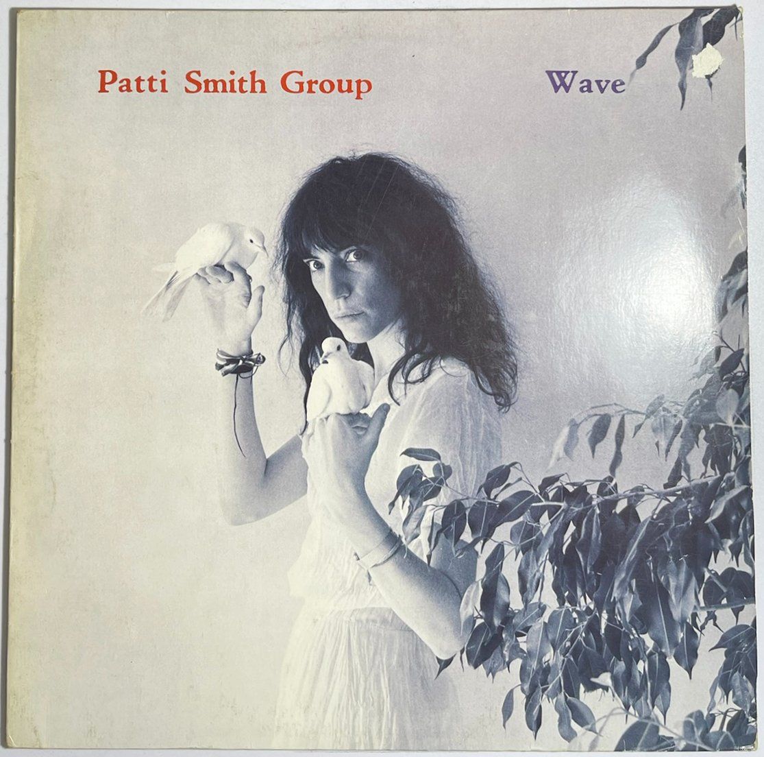 Dischi in vinile: LP: PATTI SMITH GROUP - Wave (first release 1979) – Nuovo (secondo la descrizione) da Frenkendorf venduto da Yard-Sale-2000
