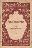 Aquis submersus von Theodor Storm