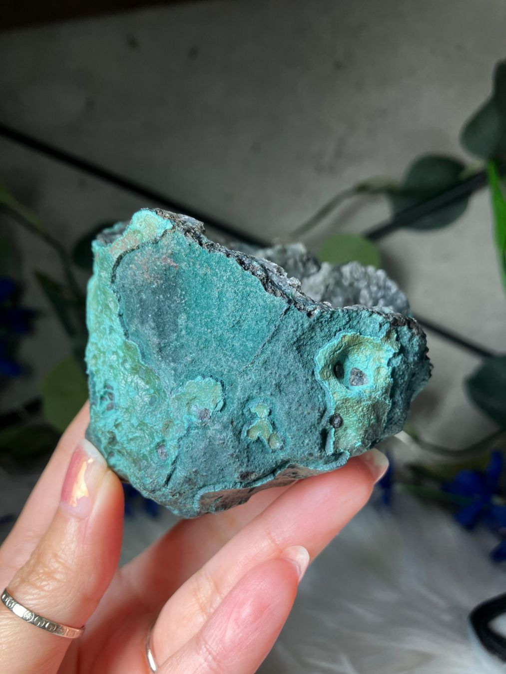 Minerali & Pietre curative: Grüner Chalcedon-Stalaktit – Nuovo (secondo la descrizione) da Neuheim venduto da m.hald 4