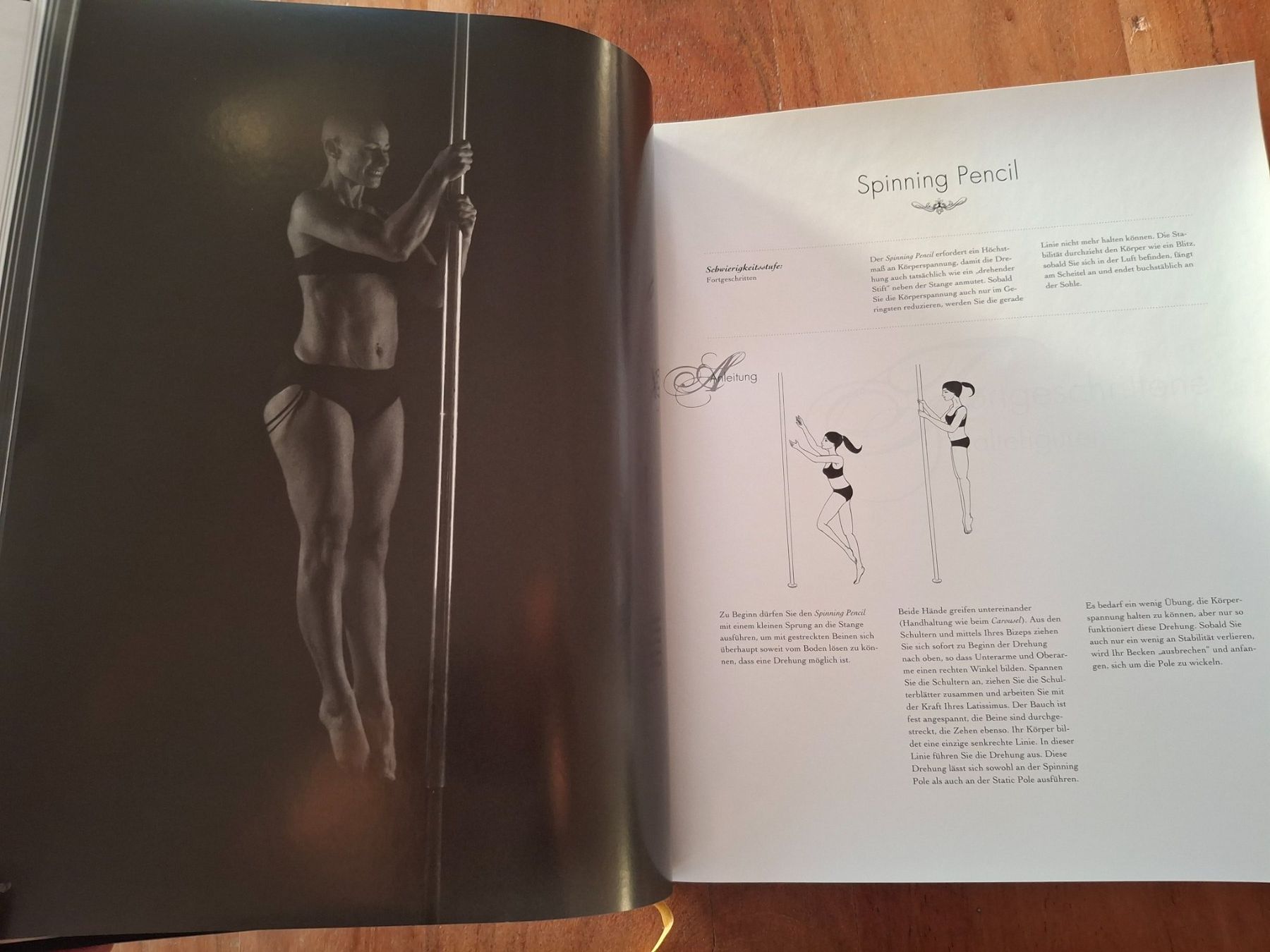 Libri: Poledance Passion Buch Technik Training Leidenschaft gute... – Usato da Horriwil venduto da TOKYONIGHTS 2